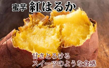 紅はるか 秀品 約5kg S〜2Lサイズ混合 / さつまいも 芋 べにはるか 熊本県産