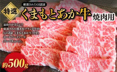 G21Q 厳選されたGI認証 くまもとあか牛 特選 焼肉用 約500g / 肉 牛肉 あか牛 赤牛 赤身 ブランド牛 焼き肉 焼肉 国産 冷凍