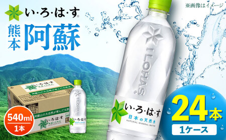 EÉEi͂jh̓VR 540ml×24{ 1P[X yRJER[{g[YWpЁz[AYAA014]