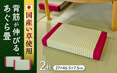 一畳屋 あぐら畳 座卓 枕 2枚セット まくら[AYAB004]