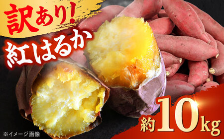 【先行予約】 訳あり 数量限定 紅はるか さつまいも 約10kg 1箱 紅はるか[AYAJ005]