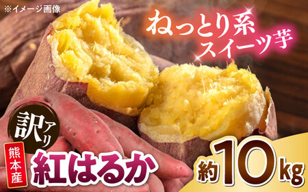 訳あり 紅はるか 約10kg 2S〜3Lサイズ混合 さつまいも さつまいも さつまいも さつまいも さつまいも さつまいも さつまいも [AYAT003]