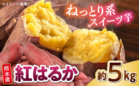 紅はるか 秀品 約5kg S〜2Lサイズ混合 さつまいも さつまいも さつまいも さつまいも さつまいも さつまいも さつまいも[AYAT004]