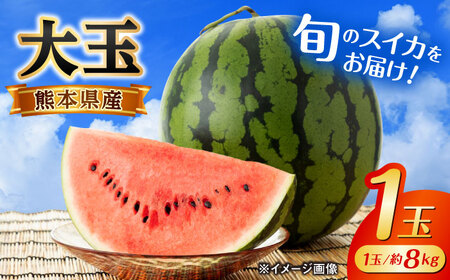 [2026年発送分先行予約][数量限定]大玉 西瓜 1玉入り 約8kg すいか[AYAU001]