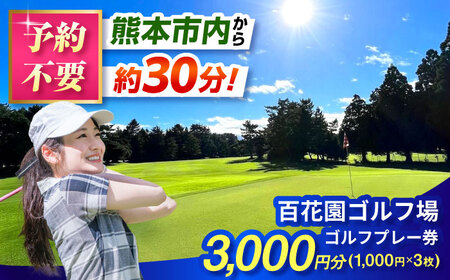 SԉSt Stv[p 3,000~ z[ v[ `Pbg F{ us[AYBL001]