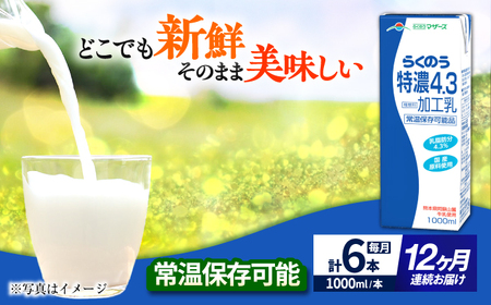 yS12ցz 炭̂ Z4.3 1000ml i6{j F{Y Y  [AYCB027]