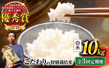 [先行予約] [令和7年度] [全3回定期便] くまさんの輝き 白米 10kg 計30kg(2025年10月下旬ごろ順次発送)米 米 米 米 米[AYCC006]