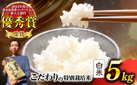 [先行予約] 令和7年度 くまさんの輝き 白米 5kg (1袋) (2025年10月下旬ごろ順次発送)白米 白米 白米 白米 白米 [AYCC021]