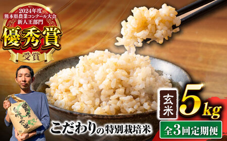 [先行予約] [令和7年度] [全3回定期便] くまさんの輝き 玄米 5kg 計15kg(2025年10月下旬ごろ順次発送)玄米 玄米 玄米 玄米 玄米[AYCC023]