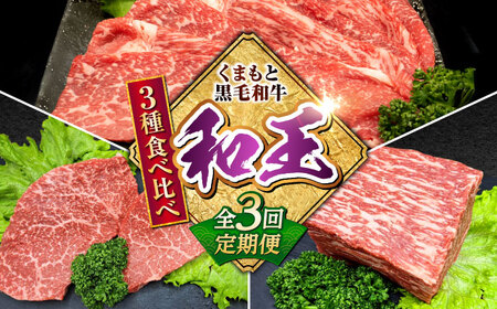 [全3回定期便] 熊本県産 A5等級 黒毛和牛 和王 食べ比べ 牛肉 和牛 国産 牛肉 牛肉 牛肉 牛肉 牛肉[AYCH055]