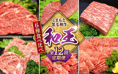 【全12回定期便】 熊本県産 A5等級 黒毛和牛 和王 食べ比べ 牛肉 和牛 国産 [AYCH058]