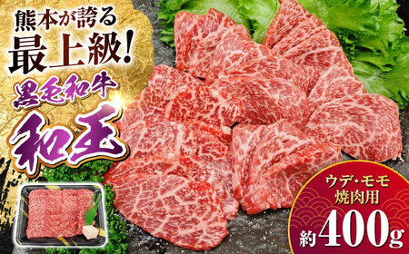 熊本県産 A5等級 黒毛和牛 和王 ウデ・モモ 焼肉用 約400g 焼肉 焼肉 焼肉 焼肉 焼肉[AYCH087]