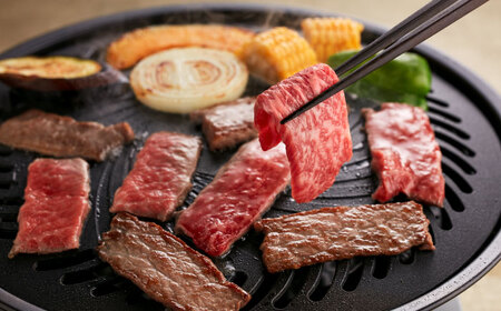 くまもと 黒毛和牛(カルビ・ロース) 食べ比べ セット 約300g 焼肉 カルビ [AYCJ004]