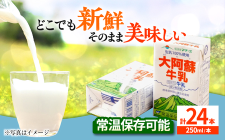 大阿蘇牛乳 250ml(24本入り)牛乳 ミルク カルシウム 熊本県産 国産 牛乳 牛乳 牛乳 牛乳 牛乳[AYCB028]