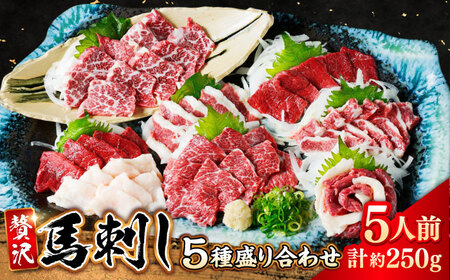 馬刺し 5種 盛り合わせセット 5人前 約250g 熊本直送 赤身馬刺し 馬刺し 熊本馬刺し 馬刺し堪能 [株式会社 Foody's][AYAT011]