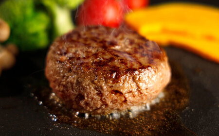 [数量限定]熊本 和牛 あか牛 100% ハンバーグ 約120g×6個[有限会社 三協畜産][AYCQ001]