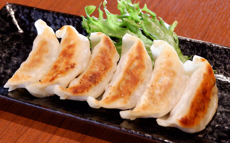 [数量限定]熊本 和牛 あか牛 ぎょうざセット 60個 [有限会社 三協畜産][AYCQ003]
