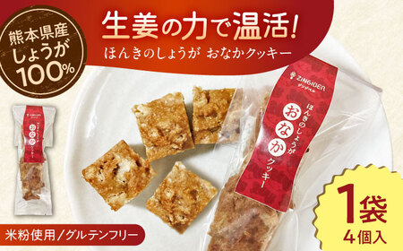 ほんきのしょうが おなかクッキー【ジンジベル】[AYAD005]