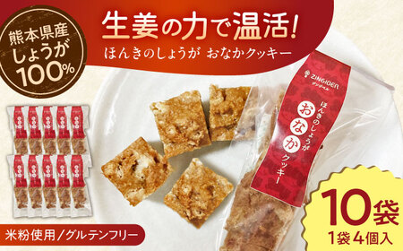 ほんきのしょうが おなかクッキー10袋セット【ジンジベル】[AYAD008]