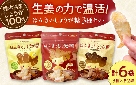 ほんきのしょうが糖 3種類 味違い セット 計6袋 / しょうが糖 沖縄黒糖味 天草レモン味 各2袋 チャック付き[ジンジベル][AYAD012]