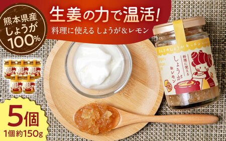 料理に使えるしょうが&レモン 約150g×5個 セット 合計約750g[ジンジベル][AYAD006]