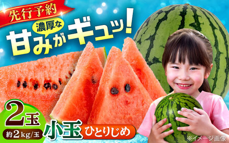 【2026年発送分 先行予約】【数量限定】小玉 すいか 2玉 ひとりじめ 計4kg  スイカ[AYAC046]