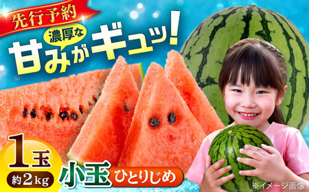 [先行予約][数量限定]小玉 すいか 1玉 ひとりじめ 計2kg [合同会社 福福堂][AYAC054]