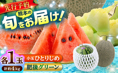 y2026N s\zyʌz O[  1(2kg)    1(2kg) ЂƂ肶 v4kg [AYAC016]