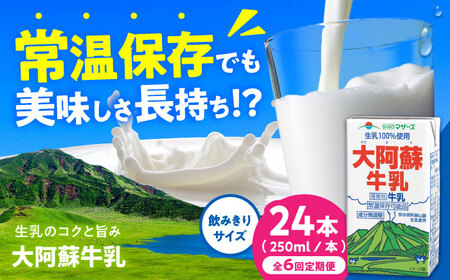 yS6ցz刢h OCt 250ml 24{i12{×2P[Xj 6L [AYAC028]