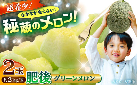 y2026N s\zyʌzO[ 2 v4kg [AYAC045]