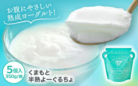 オオヤブデイリーファーム くまもと半熟よーぐるちょ 350g×5個セット[株式会社 オオヤブデイリーファーム][AYAE004]