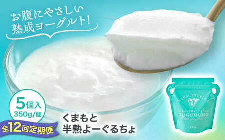 【全12回定期便】オオヤブデイリーファーム くまもと半熟よーぐるちょ 350g×5個ヨーグルト[AYAE024]