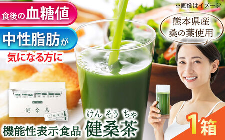 機能性表示食品 健桑茶 1箱【株式会社 峯樹木園】[AYBM004]