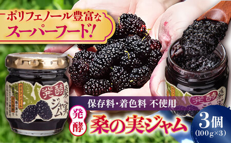 発酵桑の実 ジャム 3個セット（100g×3） 【株式会社 峯樹木園】[AYBM012]