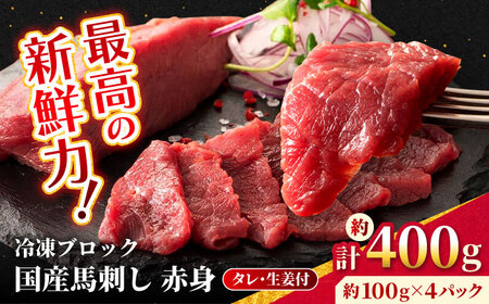 [フジチク] 国産 馬刺し 赤身 約100g×4個(計約400g)タレ付き 馬刺し 馬刺し 馬刺し 馬刺し 馬刺し [AYBQ044]