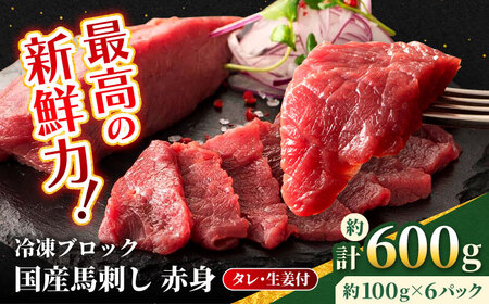 [フジチク]国産 馬刺し 赤身 約100g×6個(計約600g)タレ付き 熊本県 赤身馬刺し 赤身馬刺し 赤身馬刺し 赤身馬刺し 赤身馬刺し [AYBQ047]