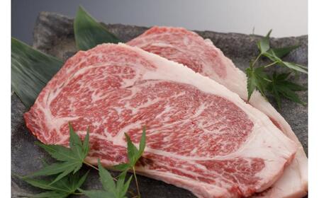肥後のあか牛 ロースステーキ 約500g ステーキステーキステーキステーキステーキ[AYBX029]