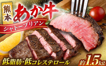あか牛 ヒレ肉 希少部位 シャトーブリアン 約1.5kg (約150g×10枚) 牛肉 熊本県産 希少部位 ステーキ[合同会社 たべたせいか][AYCB017]