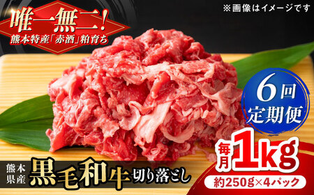 【全6回定期便】熊本県産 『原田畜産』 黒毛和牛 切り落とし 計約1kg（約250g×4パック） 牛肉切り落とし [AYCN046]