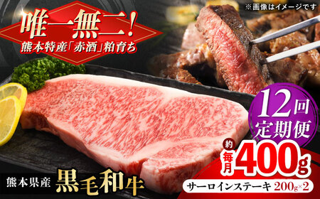 [全12回定期便]熊本県産 『原田畜産』 黒毛和牛 サーロイン ステーキ 計約400g(約200g×2枚)[AYCN053]