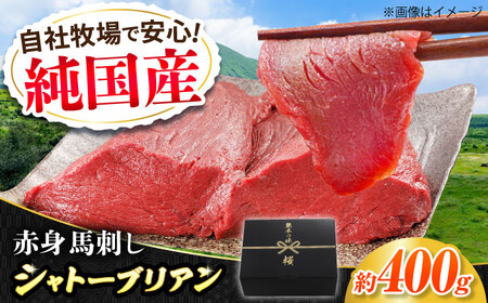 『純国産』熊本の味 赤身 馬刺し シャトーブリアン 計約400g(約200g×2パック)チルド 冷蔵 ブロック 馬刺し 馬刺し 馬刺し 馬刺し 馬刺し[有限会社 九州食肉産業][AYCN058]
