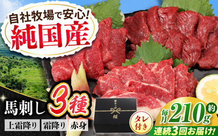 [全3回定期便]『純国産』熊本の味 馬刺し お試し 3種 セット 計約210g(2?3人前)上霜降り 霜降り 赤身 タレ付 赤身馬刺し 赤身馬刺し 赤身馬刺し 赤身馬刺し 赤身馬刺し [AYCN068]