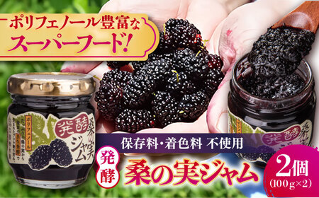 発酵桑の実 ジャム 2個セット（100g×2） 【株式会社 峯樹木園】[AYBM011]