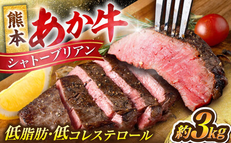 あか牛 ヒレ肉 希少部位 シャトーブリアン 約3kg (約150g×20枚) シャトーブリアン シャトーブリアン シャトーブリアン シャトーブリアン シャトーブリアン[AYCB018]