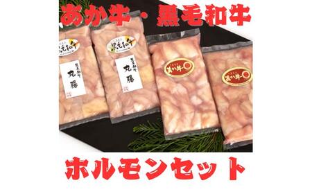 くまもとあか牛 ホルモン セット 約200g×2袋 くまもと 黒毛和牛 ホルモンセット 約200g×2袋 合計約800g ホルモン ホルモン ホルモン ホルモン ホルモン[AYAN030]