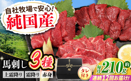 [全12回定期便]『純国産』熊本の味 馬刺し お試し 3種 セット 計約210g(2〜3人前)上霜降り 霜降り 赤身 タレ付 馬刺し 馬刺し 馬刺し 馬刺し 馬刺し[AYCN072]
