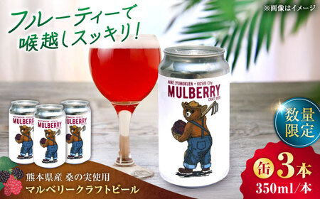 [数量限定]マルベリークラフトビール 缶350ml×3本 クラフトビール[AYBM025]