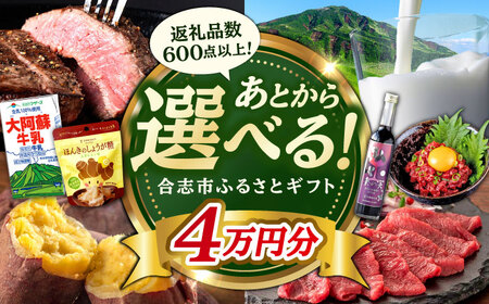 [あとから選べる!]合志市 ふるさとギフト 4万円分 [合志市役所][AYBZ008]