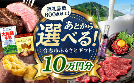 [あとから選べる!]合志市 ふるさとギフト 10万円分 [合志市役所][AYBZ011]