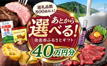 [あとから選べる!]合志市 ふるさとギフト 40万円分 [合志市役所][AYBZ015]